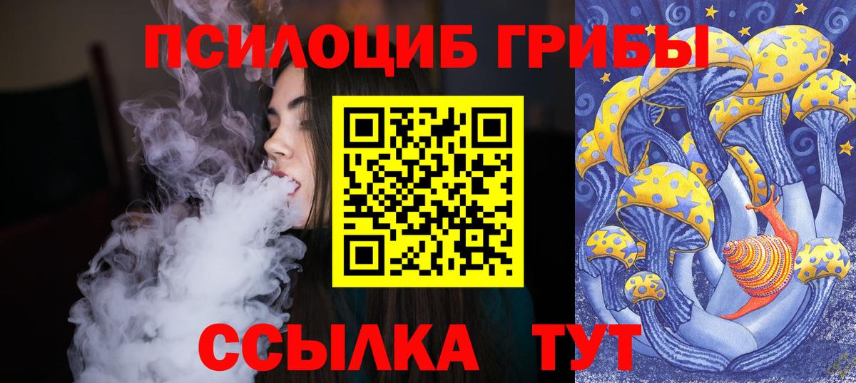 Галлюциногенные грибы GOLDEN TEACHER Усть-Илимск