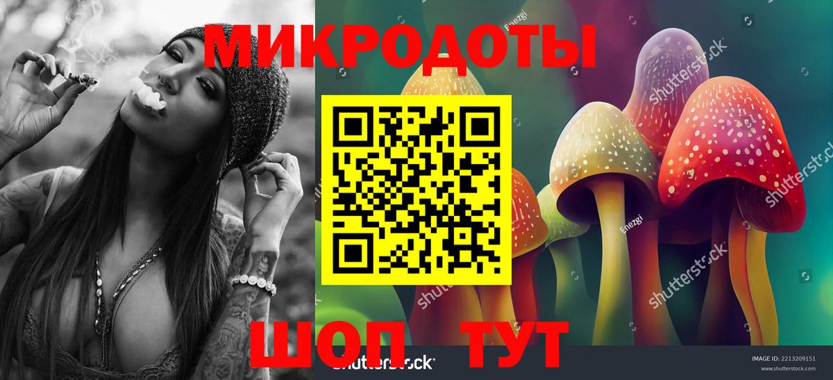 Псилоцибиновые грибы MAGIC MUSHROOMS  Вход с VPN  Усть-Илимск  Галлюциногенные грибы Psilocybe 